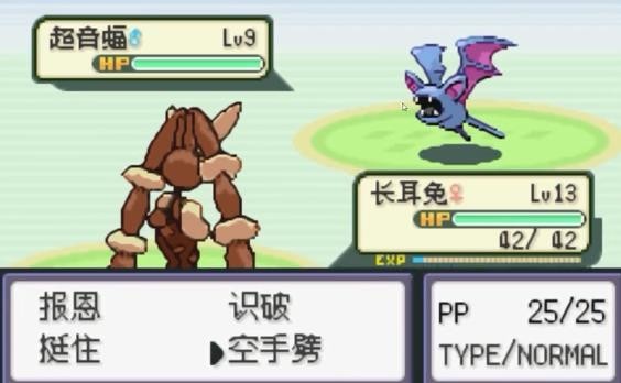 口袋妖怪火箭队内置版