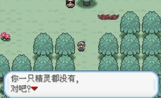 口袋妖怪火箭队内置版