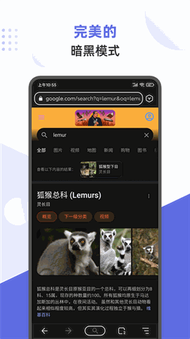 狐猴浏览器下载手机版