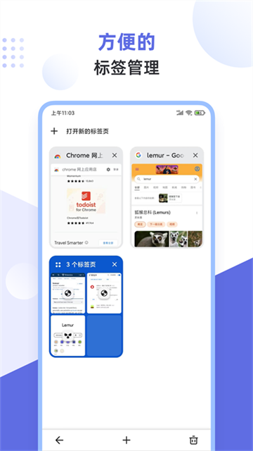 狐猴浏览器下载手机版