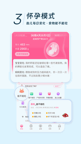 美柚官方版