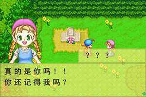 牧场物语符文工房3完整版下载